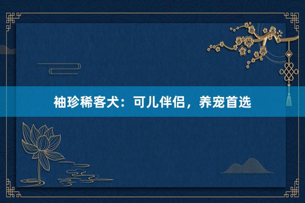 袖珍稀客犬:可儿伴侣,养宠首选