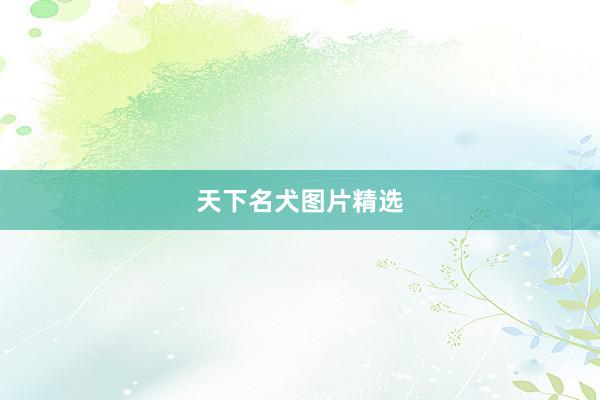 天下名犬图片精选